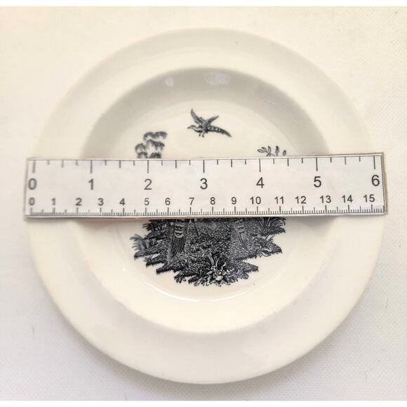 PLATES-WEDGWOOD-LIVERPOOL BIRDS-Black White-Small-Butter Dish-Display-6" - Picture 8 of 11